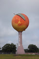 Peach Water Tower Poster Print - Iconic Landmark Art