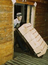 Loading Oranges into Refrigerator Car Poster Print showing oranges in a co-op packing plant.