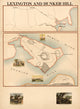 Lexington & Bunker Hill Historic Poster Print