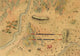 Manuscript Map of Mexican War Campaign Poster Print showcasing intricate details of military movements.