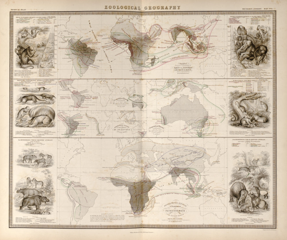 The Physical Atlas Poster Print depicting maps of natural phenomena.