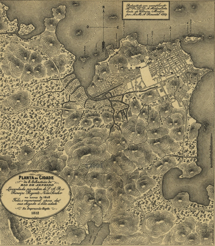 City Map of S. Sebastião do Rio de Janeiro from 1808 Poster Print