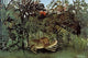 The Hungry Lion Throws Itself on the Antelope Art Print by Henri Rousseau