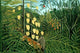 In a Tropical Forest; Tiger Attacks a Buffalo poster print by Henri Rousseau.