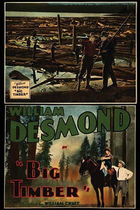 Lumberjacks on Floating Logs Poster Print showcasing vintage outdoor scene