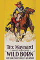 Cowboy riding racing horse to rescue another cowboy poster print
