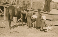 Group on a Cotton Plantation Poster Print featuring historical imagery