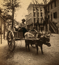 Old African-American man riding an ox-drawn cart poster print.