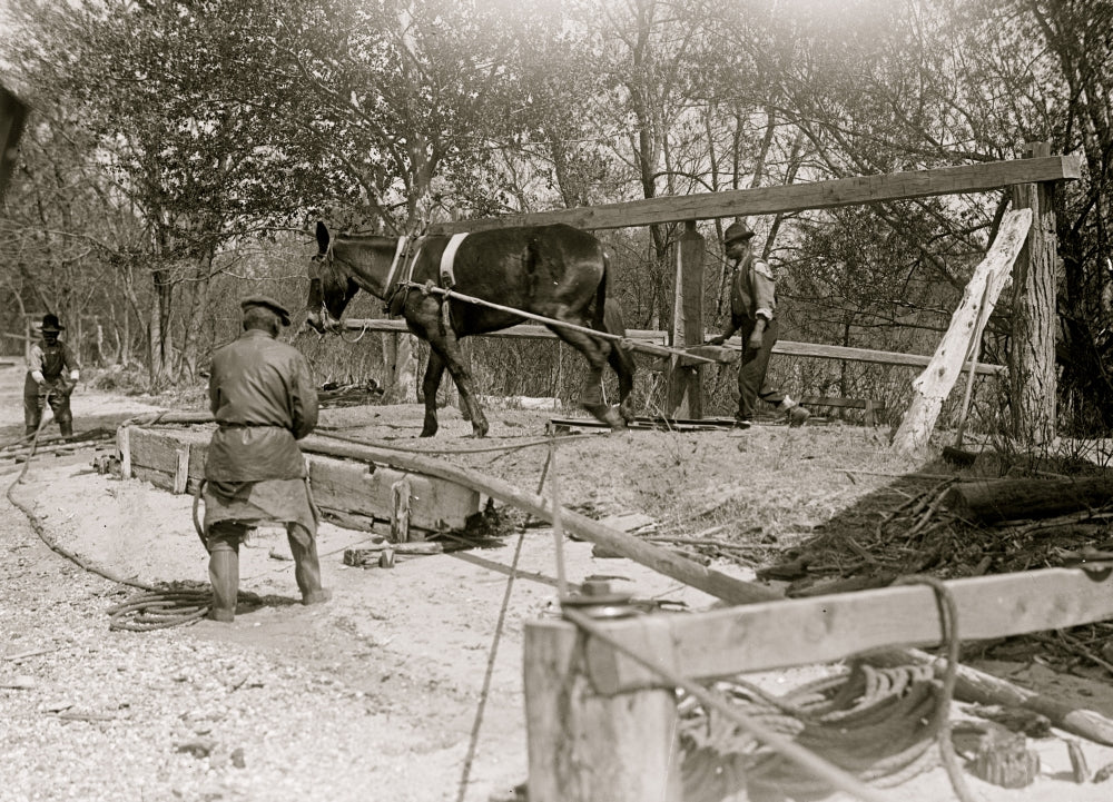 African American man drilling a well with a horse on a turnstile poster print