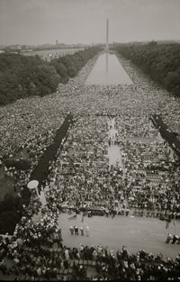 Crowds of people at The Mall in Washington D.C. poster print.