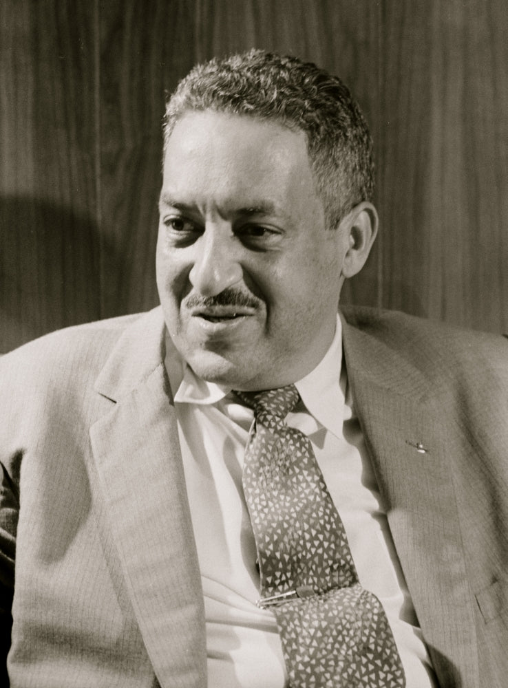 Thurgood Marshall NAACP Poster Print showcasing civil rights advocacy.
