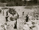 Prisoners Breaking Up Rocks Poster Print showcasing hard labor scene
