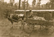 Farm wagon driven by an African American man in South Carolina poster print.