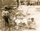 Poster print of two African-American children in a cart pulled by a dog.