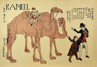 Camels with Dutch Handlers Poster Print showcasing majestic camels and Dutch handlers.