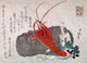 Lobster Poster Print by Shinsei - vibrant marine artwork