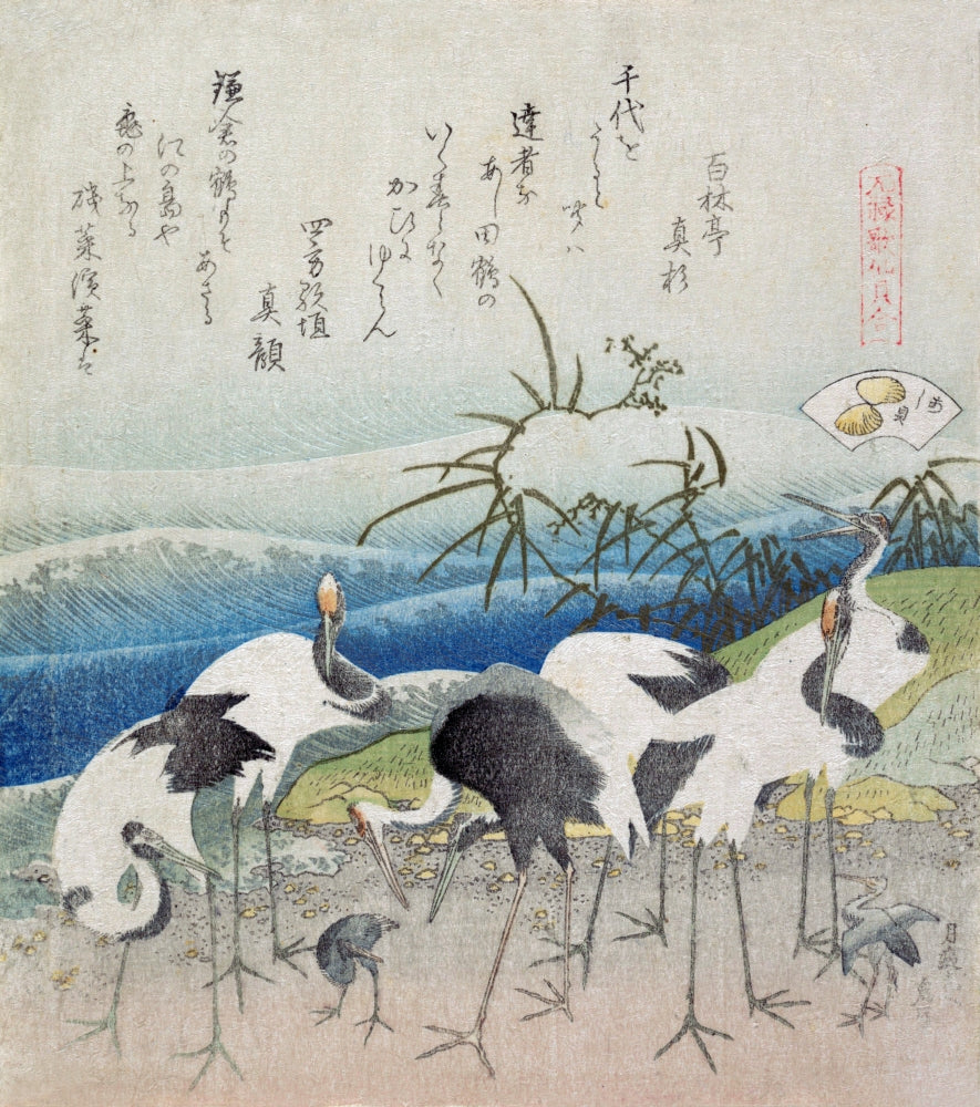 Cranes Dig for Clams poster print by Hokusai, depicting cranes in nature.