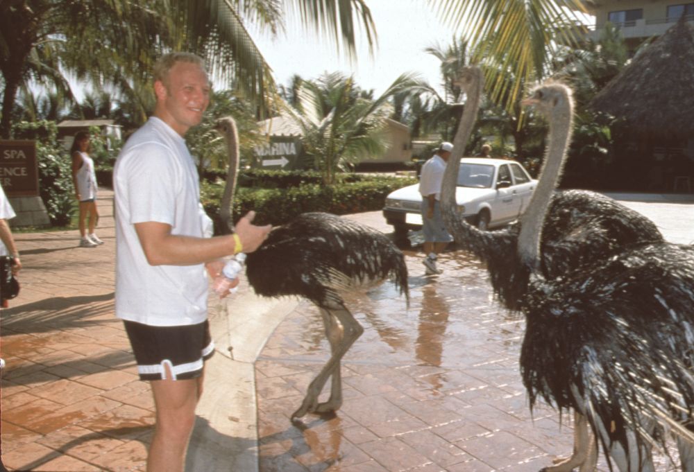 Ian Ziering pointing at ostriches photo print, fun wildlife photography.