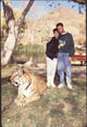 Colleen Dion with Husband Next to Tiger Photo Print