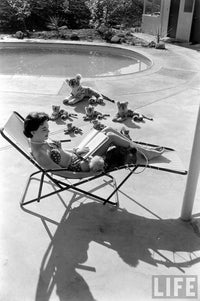 Natalie Wood poolside photo print with stuffed animals