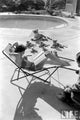 Natalie Wood poolside photo print with stuffed animals, vintage classic cinema decor.