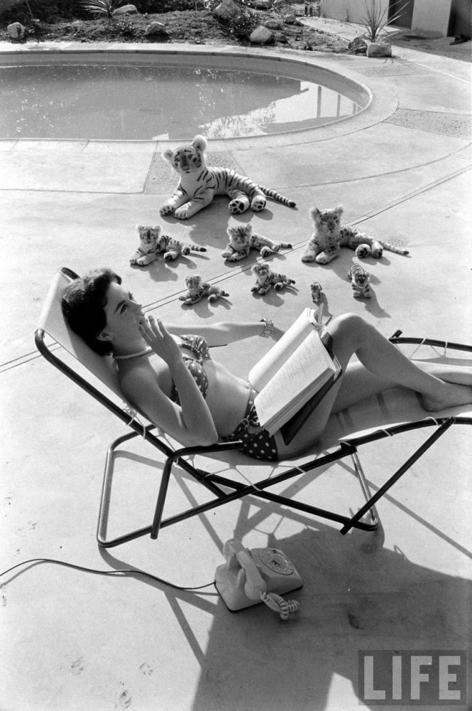 Natalie Wood Reading Poolside with Stuffed Animals Photo Print