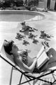 Natalie Wood reading poolside with stuffed animals photo print.