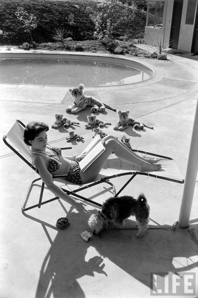 Natalie Wood poolside photo print with stuffed animals.
