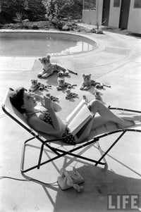 Natalie Wood reading poolside with stuffed animals photo print