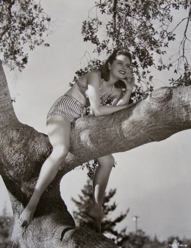 Tree Photo Print by Alexis Smith showcasing vibrant nature imagery.