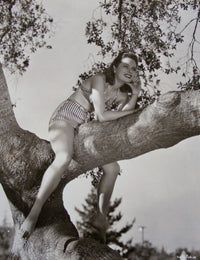 Tree Photo Print by Alexis Smith showcasing vibrant nature imagery.