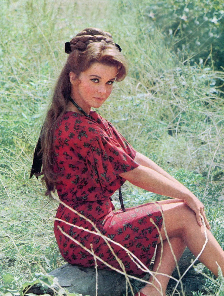 Ann Margret In Grass Photo Print - Vintage Photography