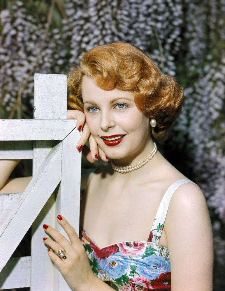 Arlene Dahl Fence Photo Print showcasing elegant fence photography.