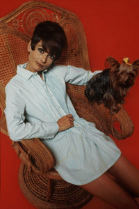 Audrey Hepburn Photo Print with Red Background