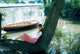 Audrey Hepburn Tree Photo Print - Iconic image of elegance