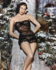Ava Gardner Tree Photo Print - Vintage Hollywood Art
