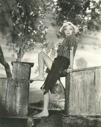 Alice White Trees Photo Print capturing beautiful nature scenery.