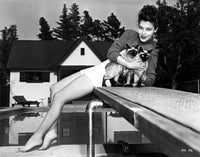 Ava Gardner Cats Photo Print showcasing classic elegance and charm.