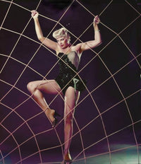 Barbara Nichols Net Photo Print capturing classic beauty.