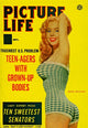 Betty Brosmer Picture Life Magazine Photo Print showcasing vintage beauty