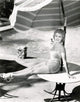 Claire Trevor Poolside Photo Print showcasing classic Hollywood elegance.
