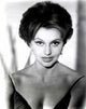 Cyd Charisse headshot photo print showcasing classic Hollywood elegance.