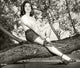 Ann Blyth Tree Photo Print showcasing the beauty of nature.