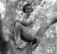 Debbie Reynolds Sitting in a Tree Photo Print