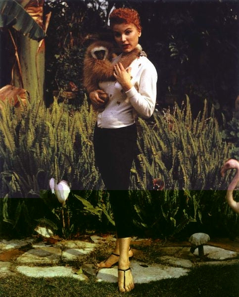 Debra Paget posed with monkey photo print, vintage Hollywood charm.
