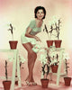 Ann Miller White Flowers Photo Print showcasing delicate floral beauty