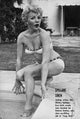 Dolores Donlon Poolside Photo Print showcasing a tranquil scene