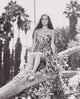 Dorothy Lamour Sitting in Tree Photo Print