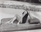 Elaine Stewart sitting on a colorful pool float - Photo Print