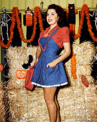 Ann Rutherford Hay Photo Print - Beautiful photography